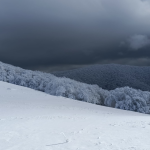 dal bianco al nero