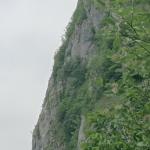 mondo verticale