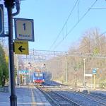 treno in stazione