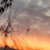 Cielo rosso e sfocato