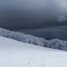 dal bianco al nero