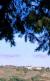 Panorama collinare tra le fronde di albero.