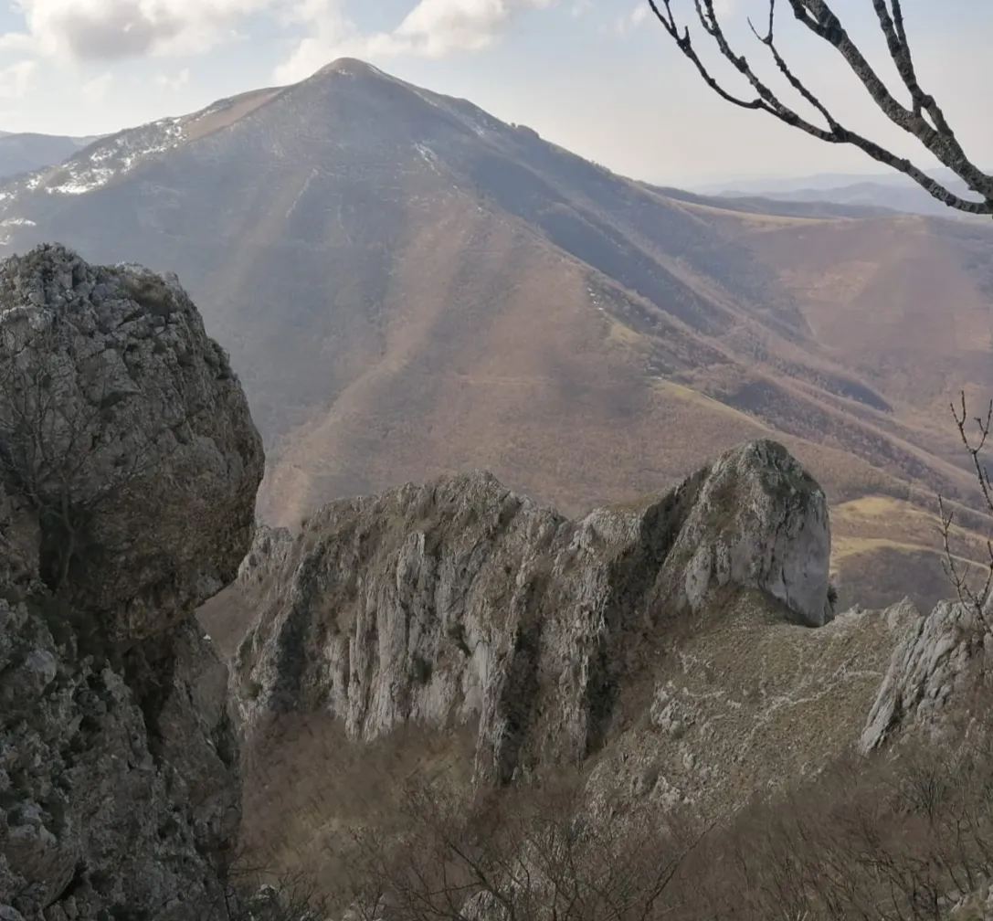animali di pietra