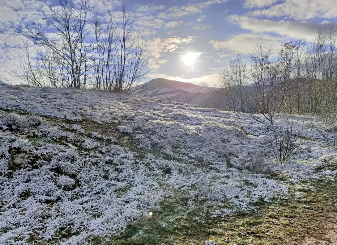colori sotto la neve