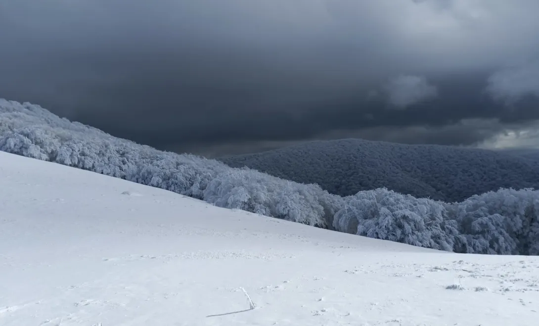 dal bianco al nero